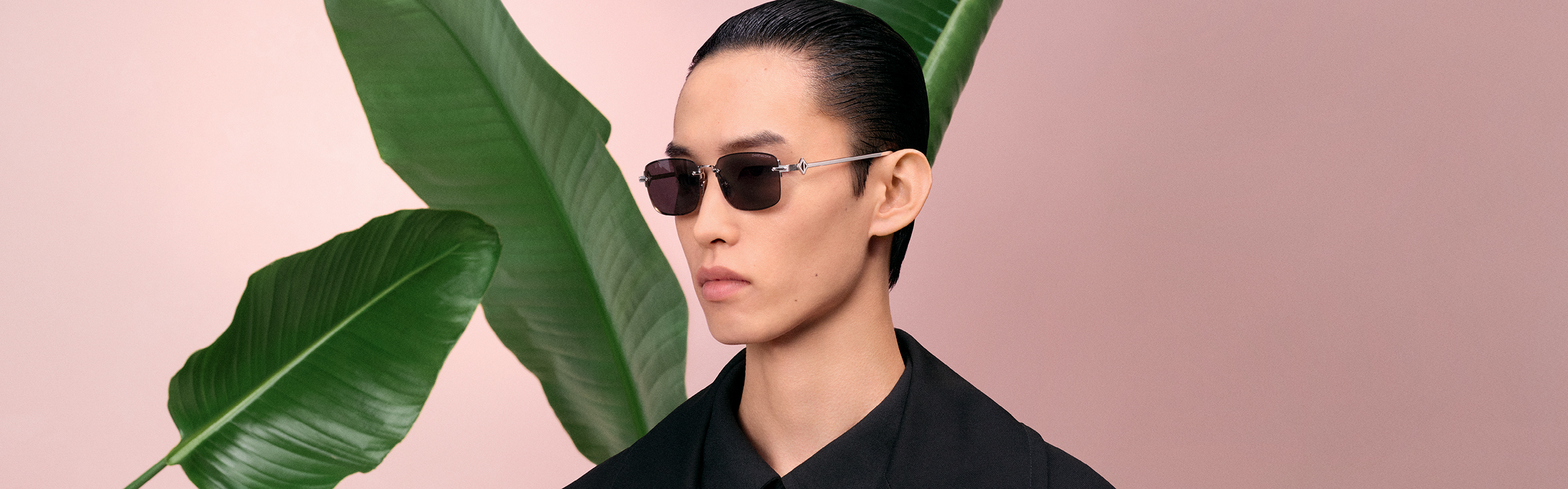 9594_134_THELIOS-DIOR_2500.00x780.00_MONTAIGNE OPTIQUE