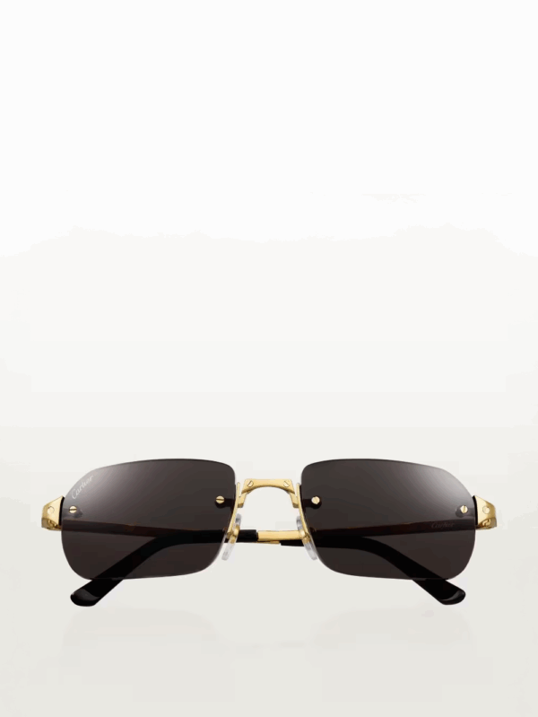 Santos de Cartier Sunglasses