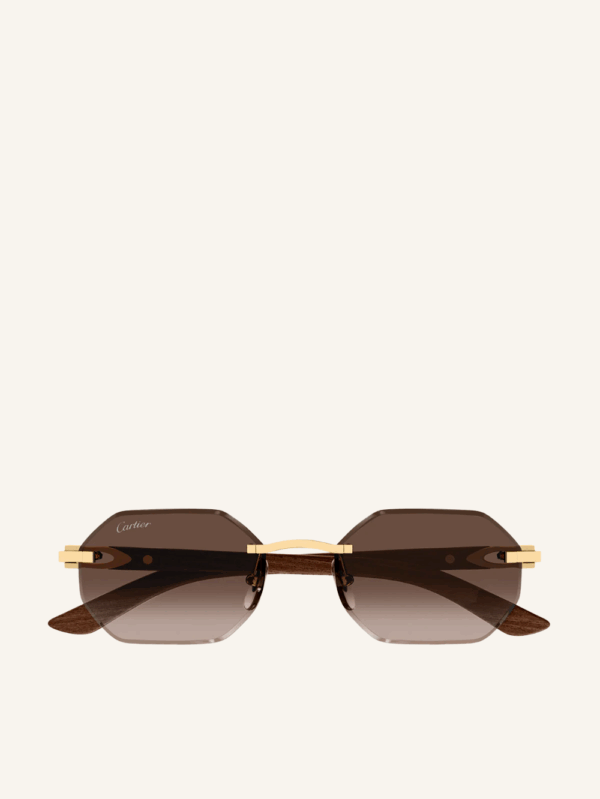 Signature C Sunglasses