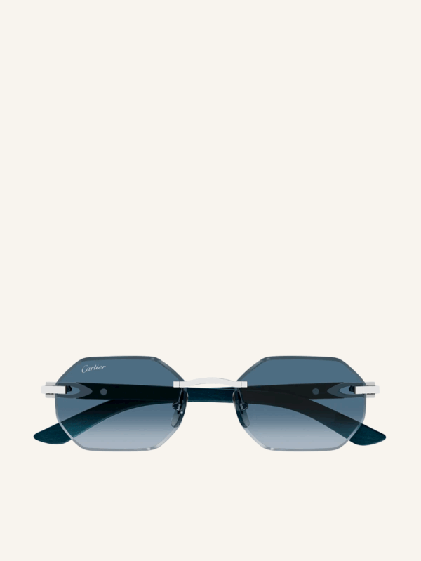Signature C sunglasses
