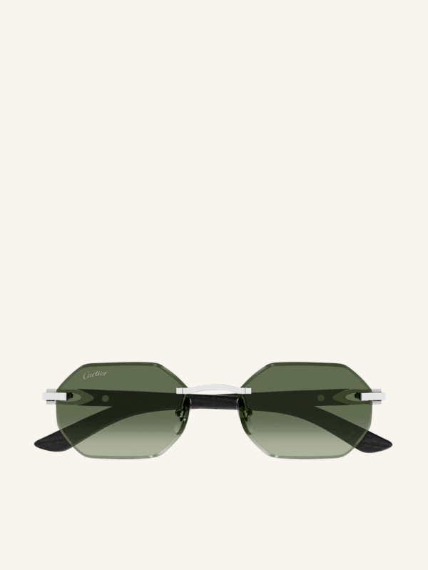 Signature C sunglasses