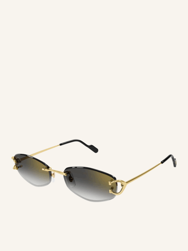 Decor C de Cartier Sunglasses - Image 3