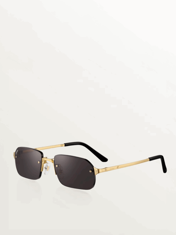 Santos de Cartier Sunglasses - Image 3