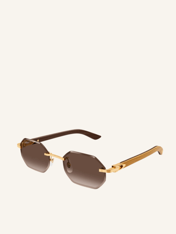 Signature C Sunglasses - Image 2