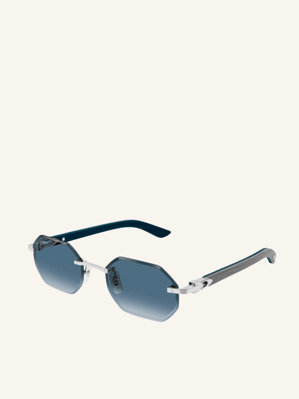 Signature C sunglasses - Image 2