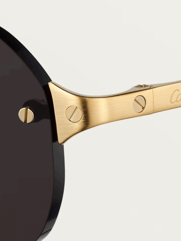 Santos de Cartier Sunglasses - Image 2