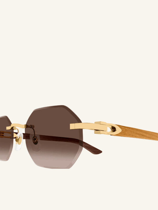 Signature C Sunglasses - Image 3