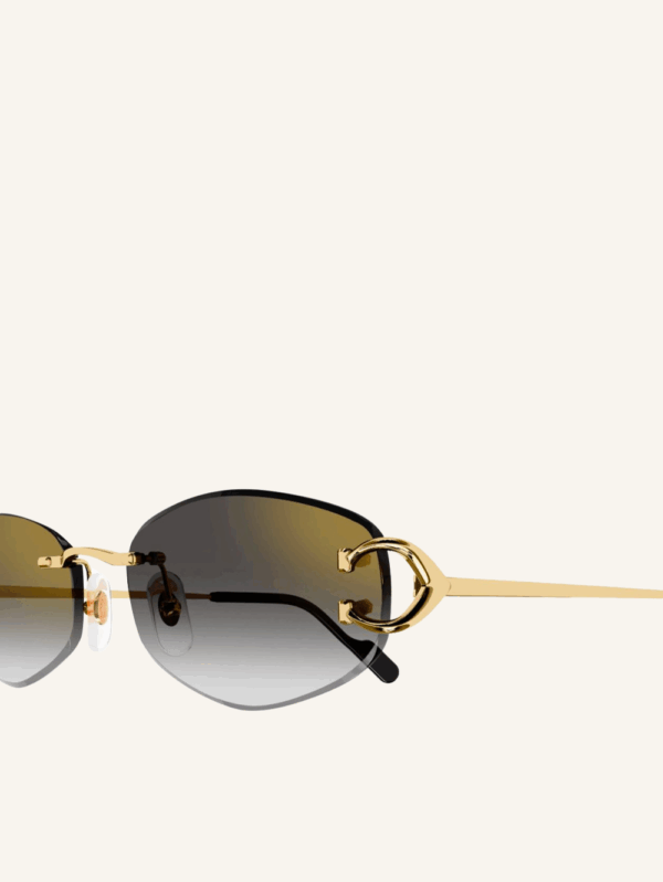 Decor C de Cartier Sunglasses - Image 2