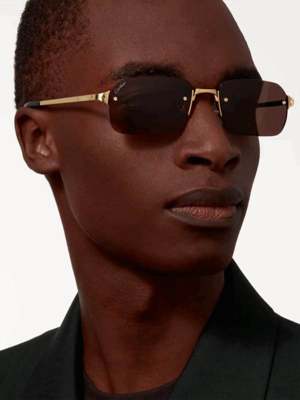 Santos de Cartier Sunglasses - Image 4